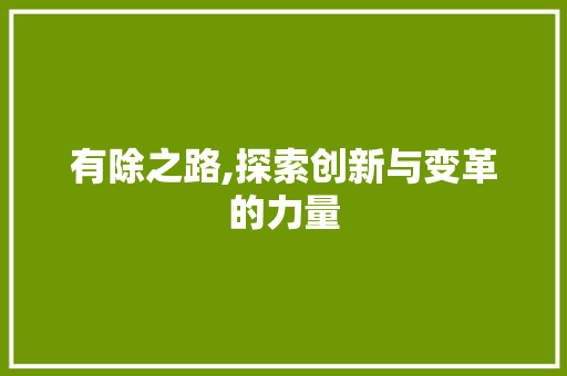 有除之路,探索创新与变革的力量