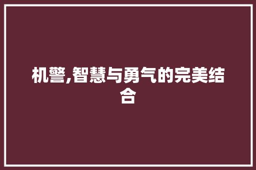 机警,智慧与勇气的完美结合