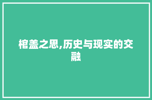 棺盖之思,历史与现实的交融