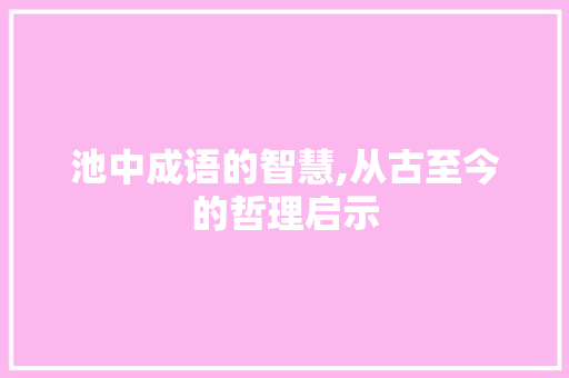 池中成语的智慧,从古至今的哲理启示