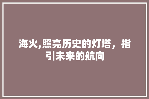 海火,照亮历史的灯塔，指引未来的航向