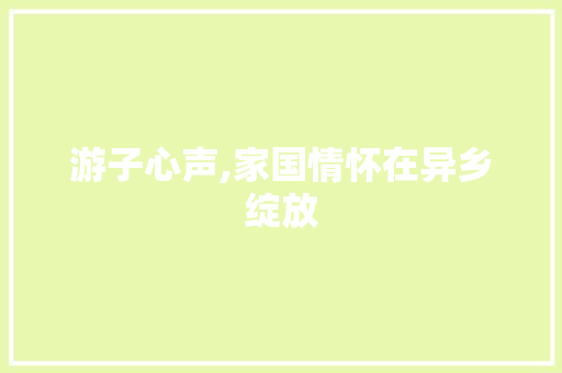 游子心声,家国情怀在异乡绽放