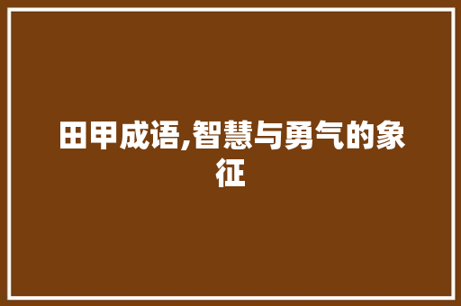 田甲成语,智慧与勇气的象征