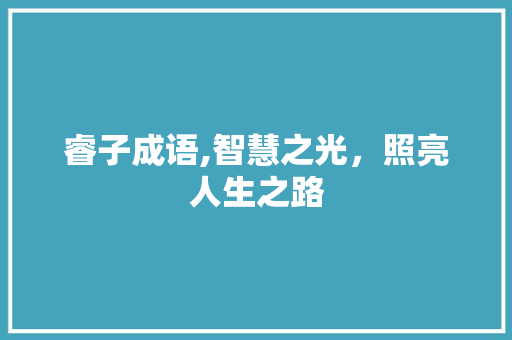睿子成语,智慧之光，照亮人生之路 诗词鉴赏