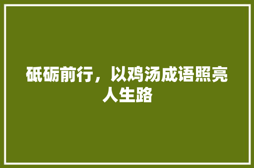 砥砺前行，以鸡汤成语照亮人生路