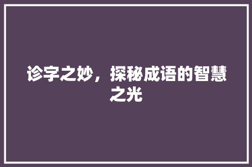 诊字之妙，探秘成语的智慧之光