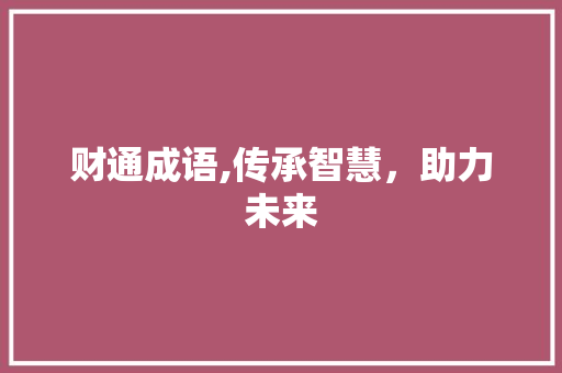 财通成语,传承智慧，助力未来 项目报告