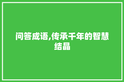 问答成语,传承千年的智慧结晶