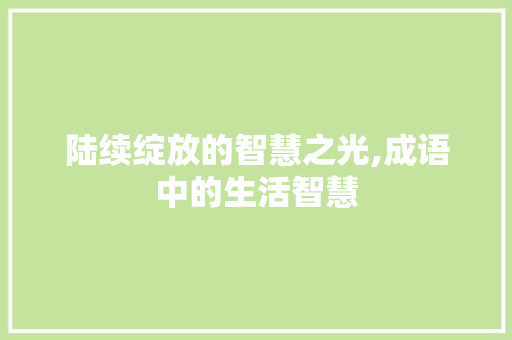 陆续绽放的智慧之光,成语中的生活智慧