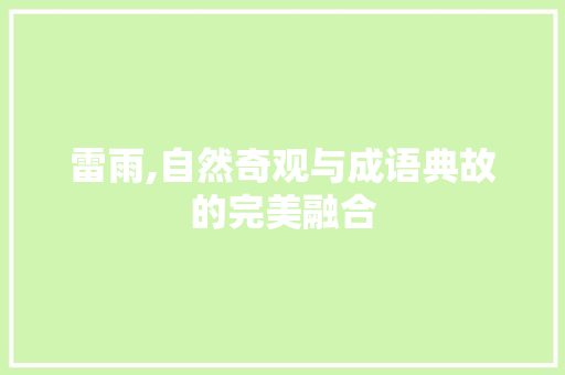 雷雨,自然奇观与成语典故的完美融合 诗词应用