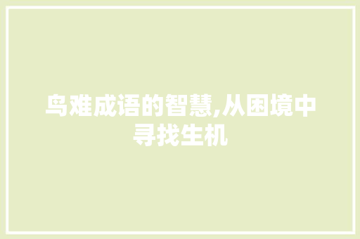 鸟难成语的智慧,从困境中寻找生机