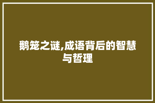 鹅笼之谜,成语背后的智慧与哲理