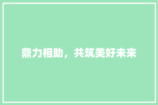 鼎力相助，共筑美好未来