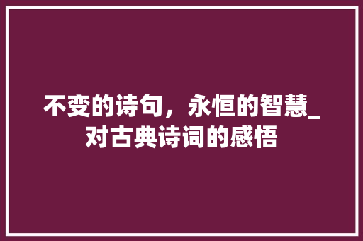 不变的诗句，永恒的智慧_对古典诗词的感悟