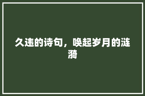久违的诗句，唤起岁月的涟漪