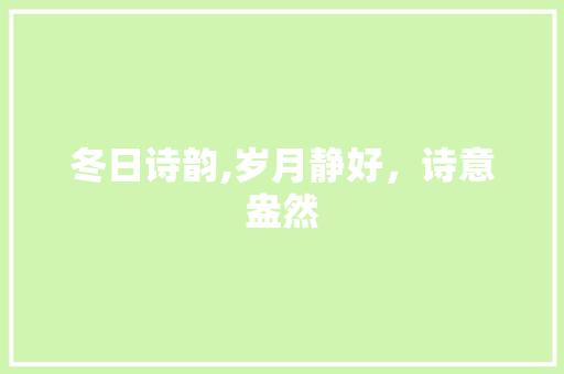 冬日诗韵,岁月静好，诗意盎然