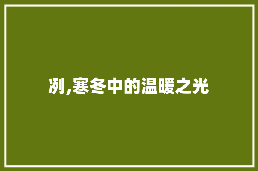 冽,寒冬中的温暖之光 诗词鉴赏
