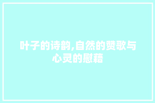 叶子的诗韵,自然的赞歌与心灵的慰藉
