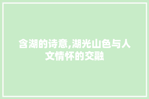 含湖的诗意,湖光山色与人文情怀的交融 工作总结