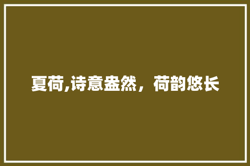 夏荷,诗意盎然，荷韵悠长