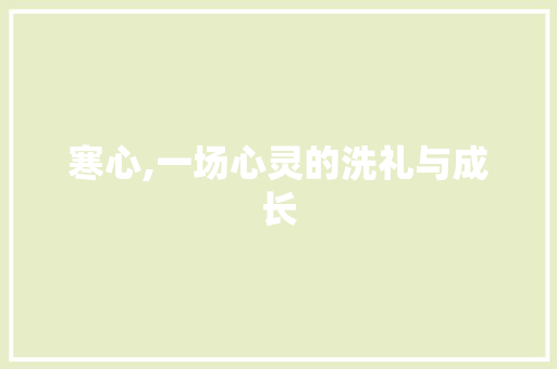 寒心,一场心灵的洗礼与成长
