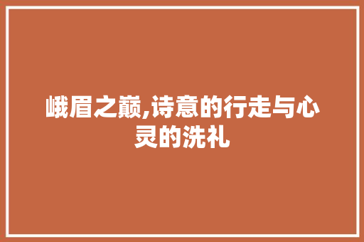 峨眉之巅,诗意的行走与心灵的洗礼 职场写作