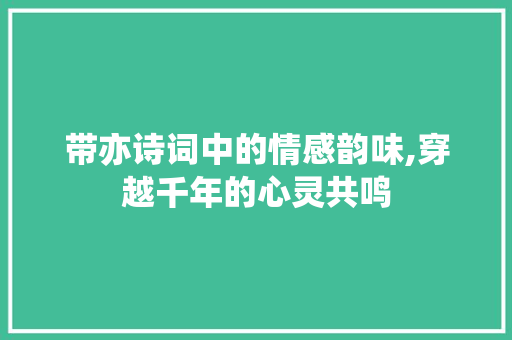 带亦诗词中的情感韵味,穿越千年的心灵共鸣