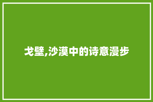 戈壁,沙漠中的诗意漫步