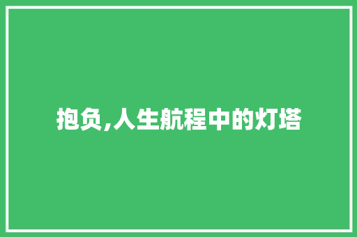 抱负,人生航程中的灯塔