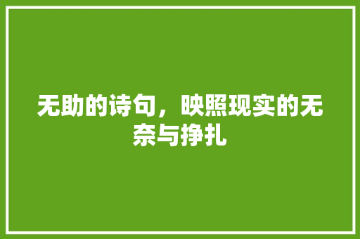 无助的诗句，映照现实的无奈与挣扎
