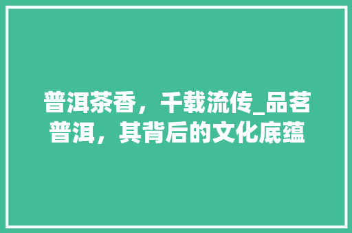 普洱茶香，千载流传_品茗普洱，其背后的文化底蕴 社交媒体
