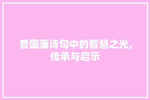 曾国藩诗句中的智慧之光,传承与启示 社交媒体