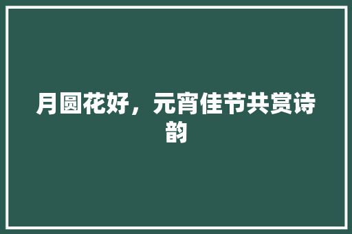 月圆花好，元宵佳节共赏诗韵