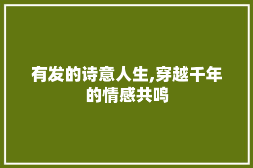 有发的诗意人生,穿越千年的情感共鸣