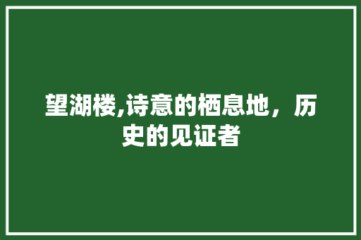 望湖楼,诗意的栖息地，历史的见证者
