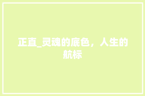 正直_灵魂的底色，人生的航标 工作总结
