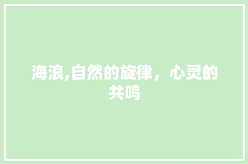 海浪,自然的旋律，心灵的共鸣
