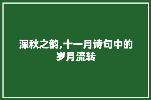 深秋之韵,十一月诗句中的岁月流转