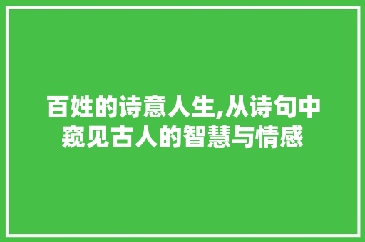 百姓的诗意人生,从诗句中窥见古人的智慧与情感