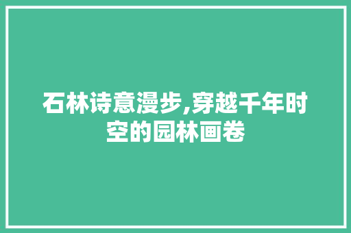 石林诗意漫步,穿越千年时空的园林画卷 项目报告