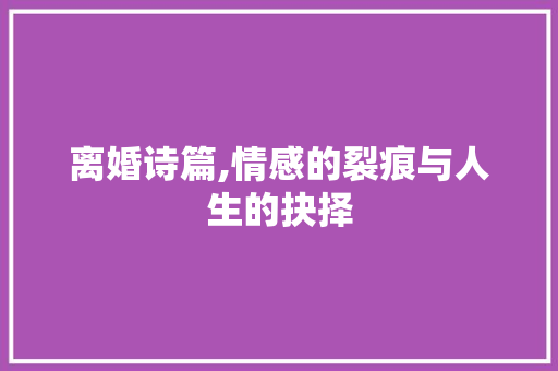 离婚诗篇,情感的裂痕与人生的抉择
