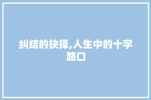 纠结的抉择,人生中的十字路口
