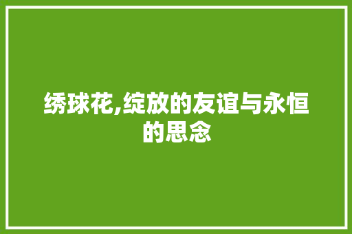绣球花,绽放的友谊与永恒的思念