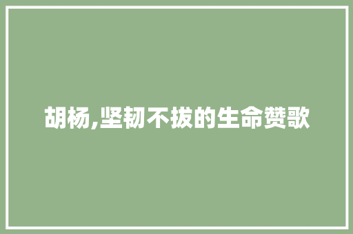 胡杨,坚韧不拔的生命赞歌