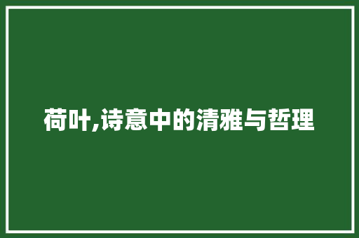 荷叶,诗意中的清雅与哲理