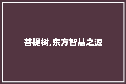 菩提树,东方智慧之源