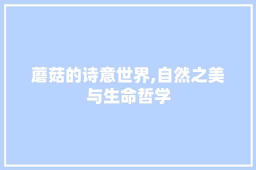 蘑菇的诗意世界,自然之美与生命哲学