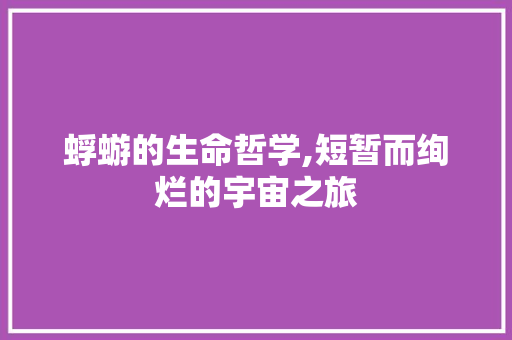 蜉蝣的生命哲学,短暂而绚烂的宇宙之旅
