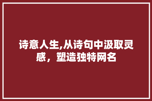 诗意人生,从诗句中汲取灵感，塑造独特网名
