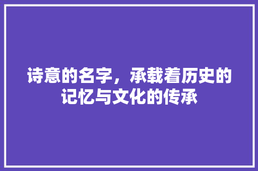 诗意的名字，承载着历史的记忆与文化的传承 诗词体裁